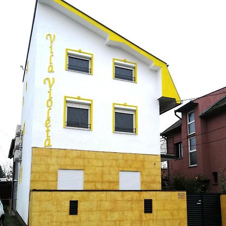 Vila Violeta Sabac Exterior photo