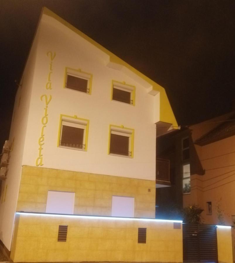 Vila Violeta Sabac Exterior photo
