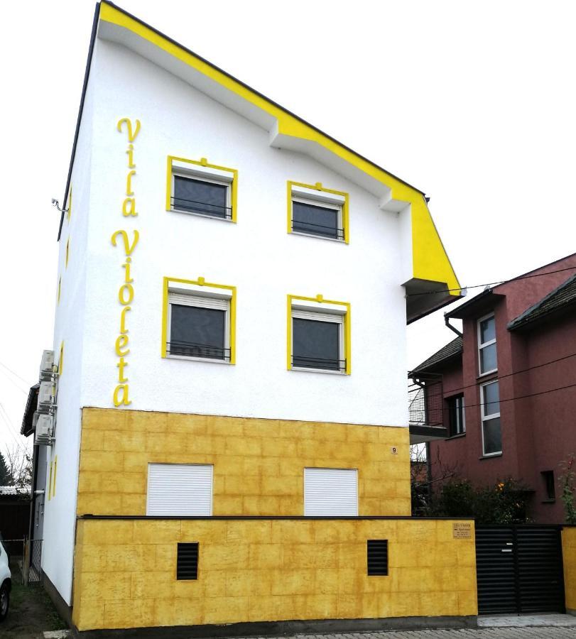 Vila Violeta Sabac Exterior photo
